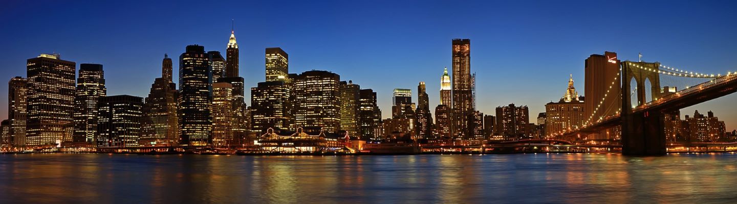 View of New York City skyline at night